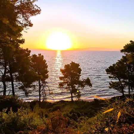 Mandarina * Kriopigi